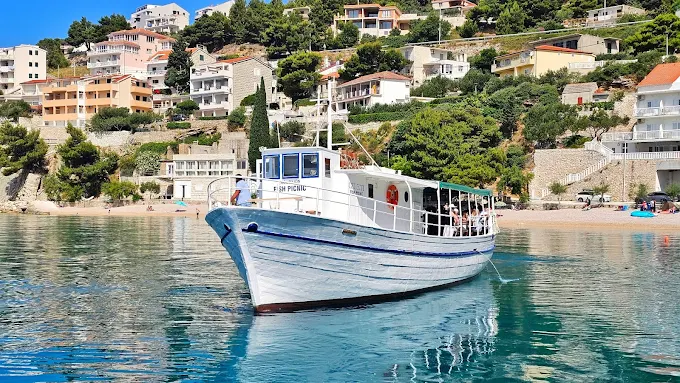 Jelen boat at sea