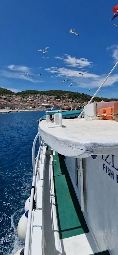 Seagulls flying near the boat